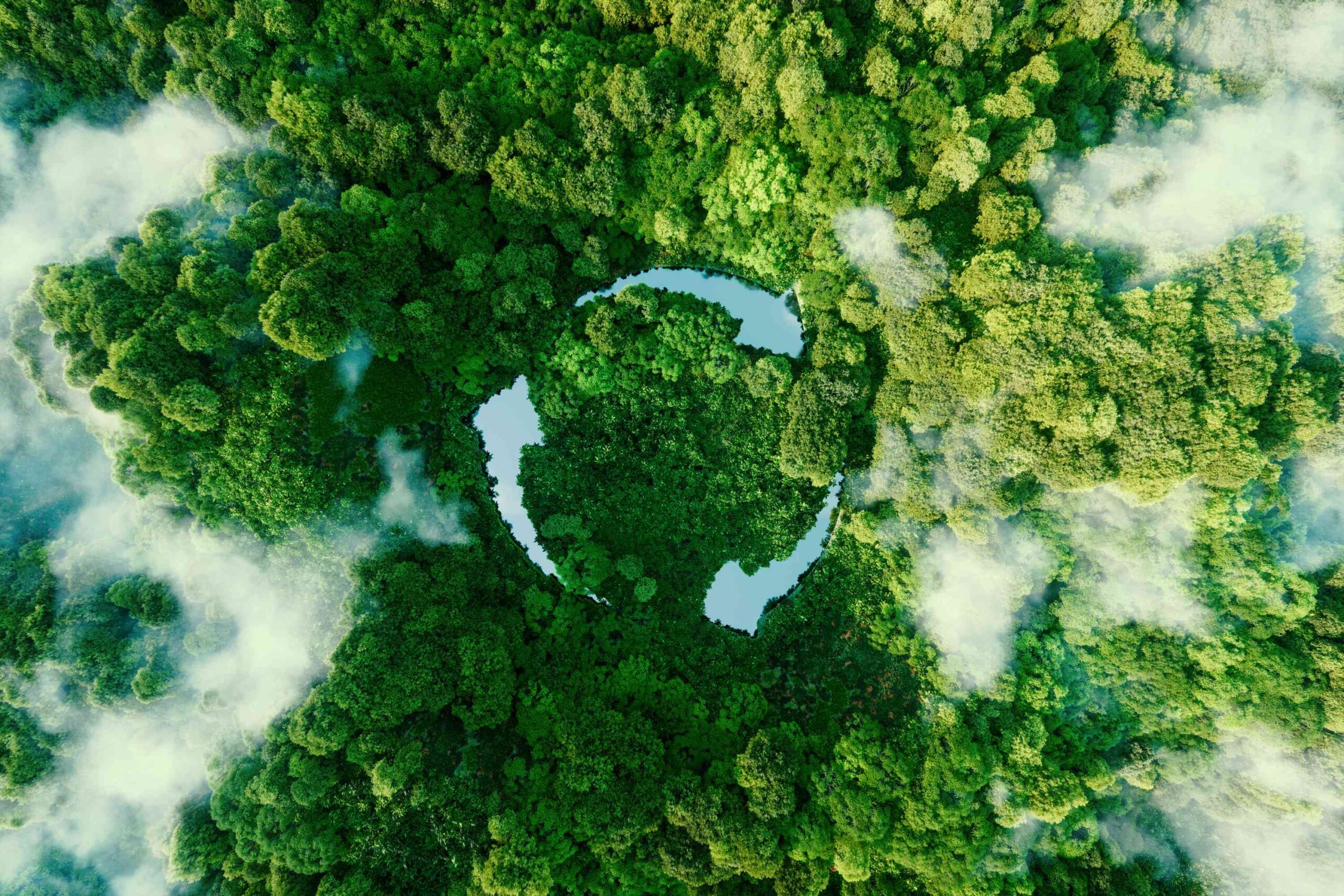 Wald von oben mit Rercycling Logo als Seen angedeutet